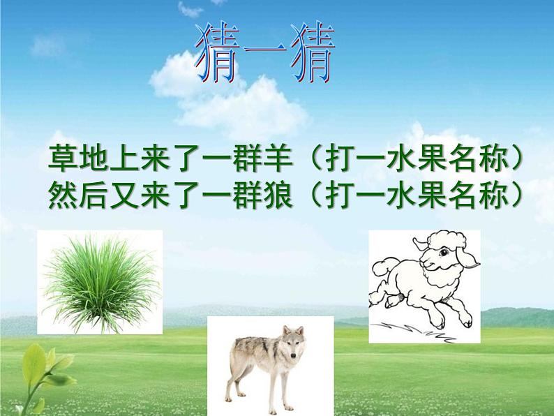小学六年级下册科学-4.3有趣的食物链-苏教版(29张)(1)ppt课件第2页
