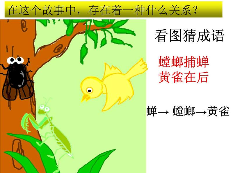 小学六年级下册科学-4.3有趣的食物链-苏教版(29张)(1)ppt课件第7页