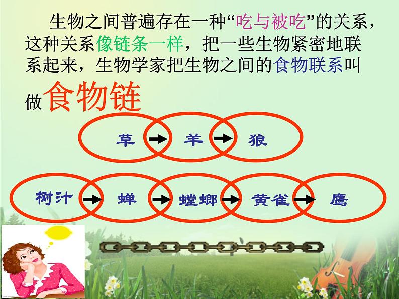 小学六年级下册科学-4.3有趣的食物链-苏教版(29张)(1)ppt课件第8页