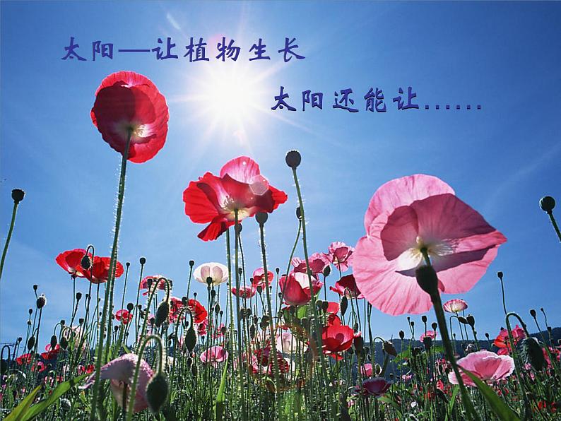 小学六年级下册科学-5.1各种各样的能量-苏教版(20张)(1)ppt课件第8页