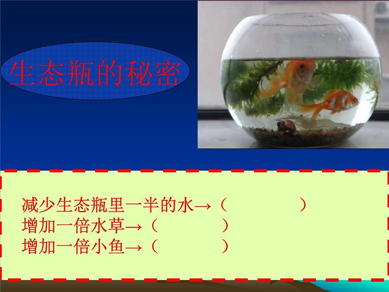 小学六年级下册科学-4.4生态平衡-苏教版(18张)(1)ppt课件06