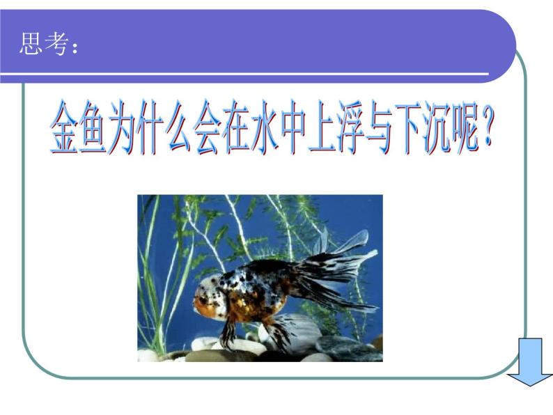 2020年三年级上册科学课件1科学在我们身边首师大版(13张)ppt课件07