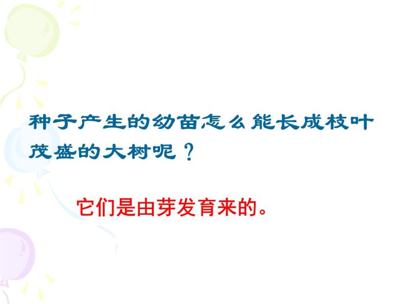 2020年三年级下册科学课件14.植物怎样度过一生首师大版(30张)ppt课件03