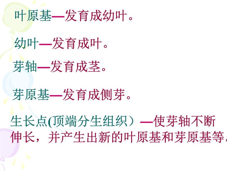 2020年三年级下册科学课件14.植物怎样度过一生首师大版(30张)ppt课件06