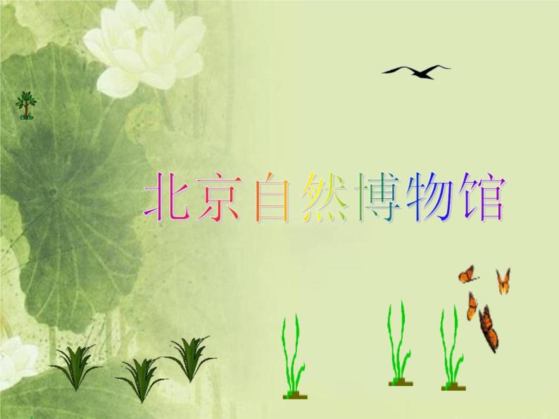 2020年三年级下册科学课件19北京自然博物馆首师大版(18张)ppt课件02