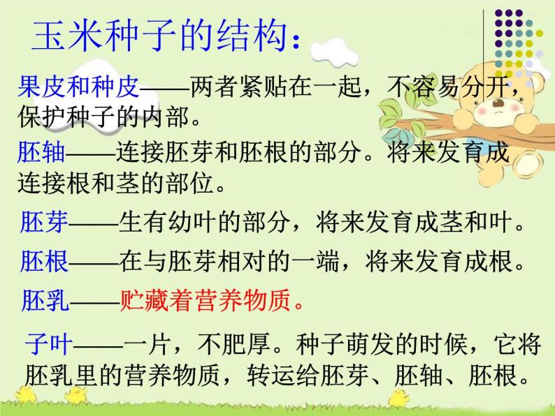 2020年三年级下册科学课件14.植物怎样度过一生首师大版(38张)ppt课件07