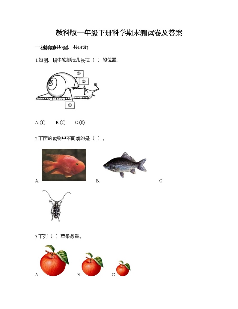 教科版一年级下册科学期末测试卷及答案6第1页