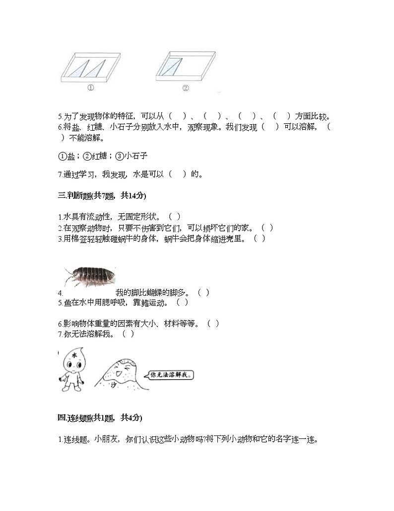 教科版一年级下册科学期末测试卷及答案6第3页