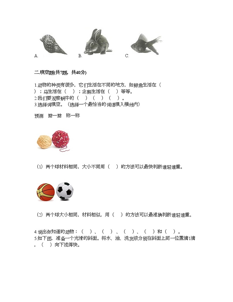教科版一年级下册科学期末测试卷及答案26第2页