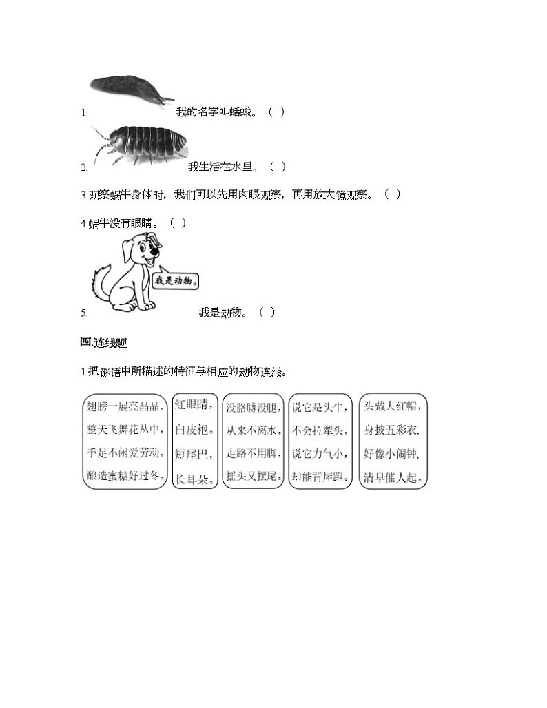 教科版一年级下册科学第二单元 动物 测试卷(含答案) (21)第2页