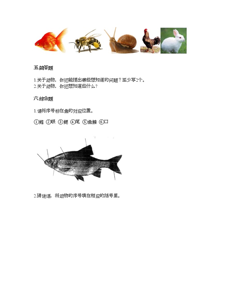教科版一年级下册科学第二单元 动物 测试卷(含答案) (21)第3页