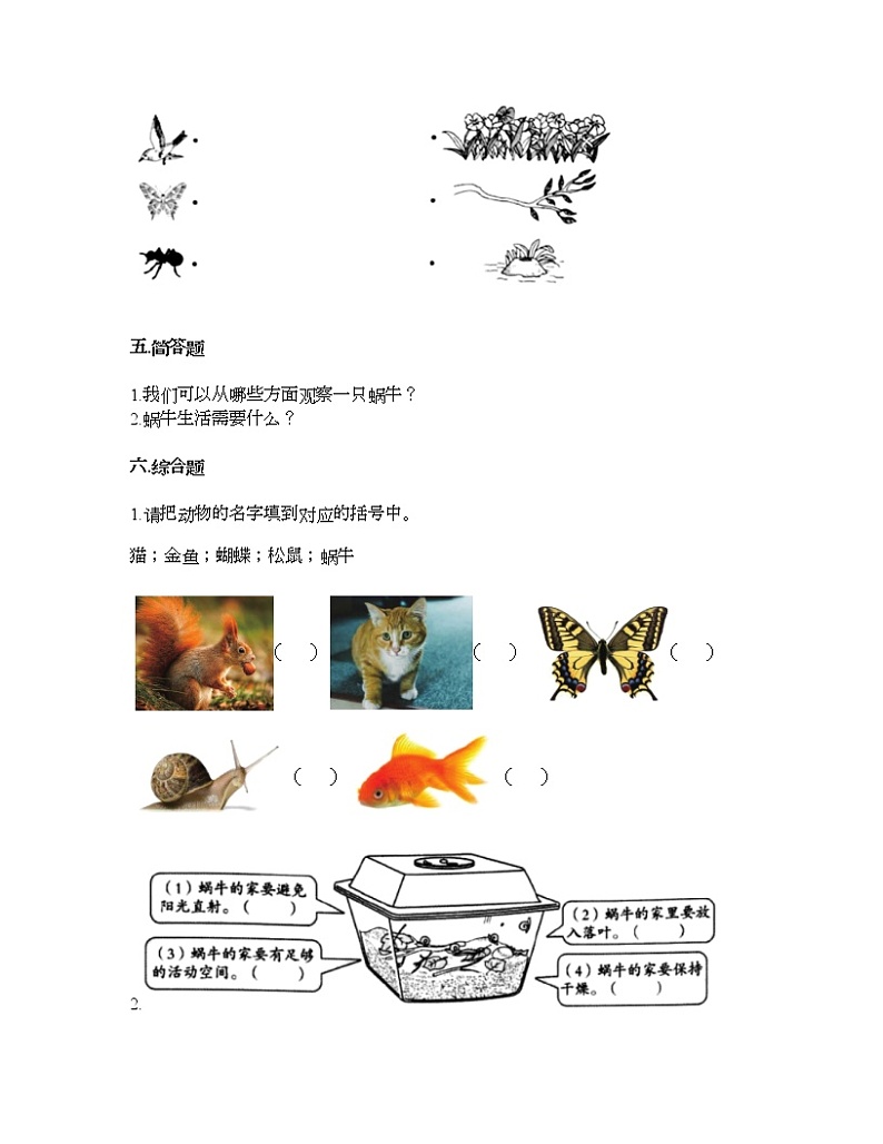 教科版一年级下册科学第二单元 动物 测试卷(含答案) (2)第3页