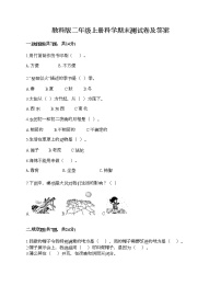 教科版二年级上册科学期末测试卷及答案12