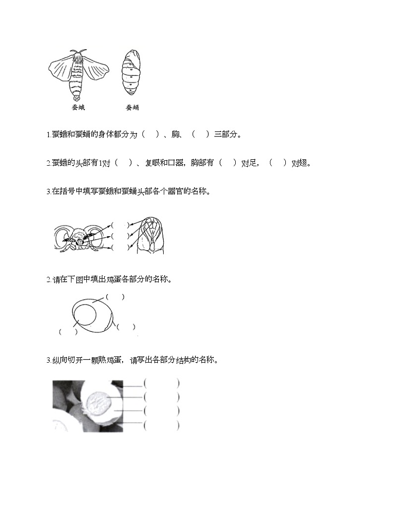 教科版三年级下册科学第二单元 动物的一生 测试卷(含答案) (23)第3页