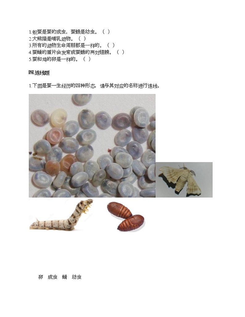 教科版三年级下册科学第二单元 动物的一生 测试卷(含答案) (11)02
