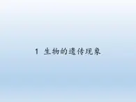 苏教版六年级科学下册 2.1 生物的遗传现象课件