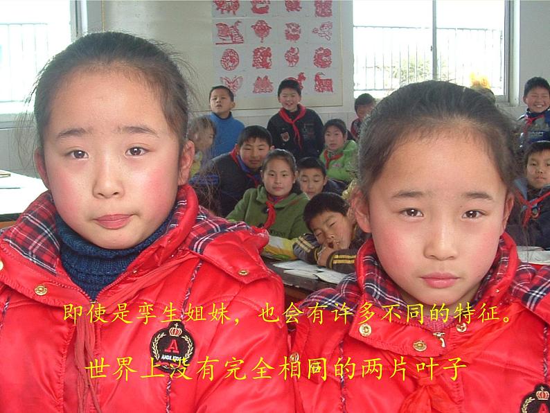 苏教版六年级科学下册 2.1 生物的遗传现象(2)课件第4页