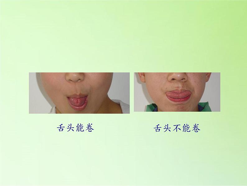苏教版六年级科学下册 2.1 生物的遗传现象(2)课件第8页
