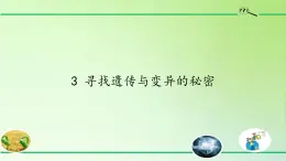 苏教版六年级科学下册 2.3 寻找遗传与变异的秘密(1)课件