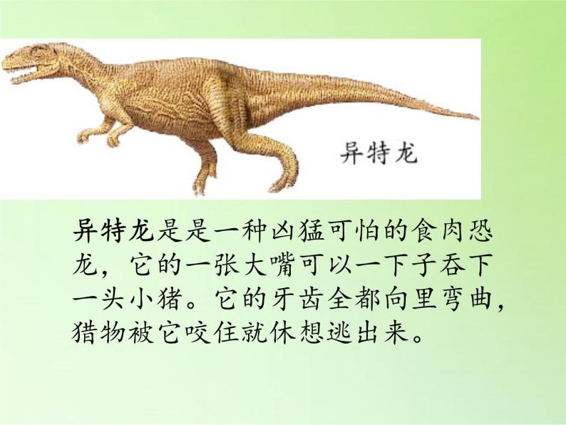 苏教版六年级科学下册 3.1 消失了的恐龙(3)课件08