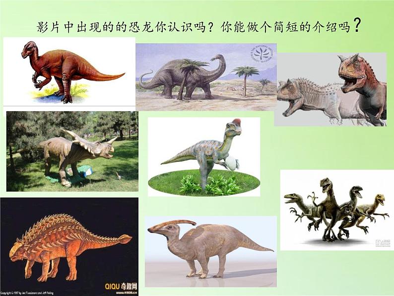苏教版六年级科学下册 3.1 消失了的恐龙(7)课件03