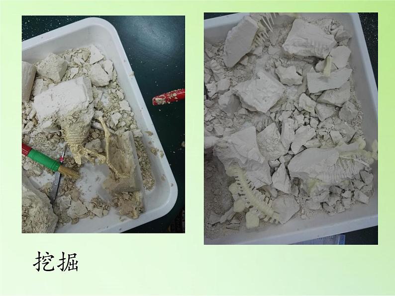苏教版六年级科学下册 3.1 消失了的恐龙(7)课件06