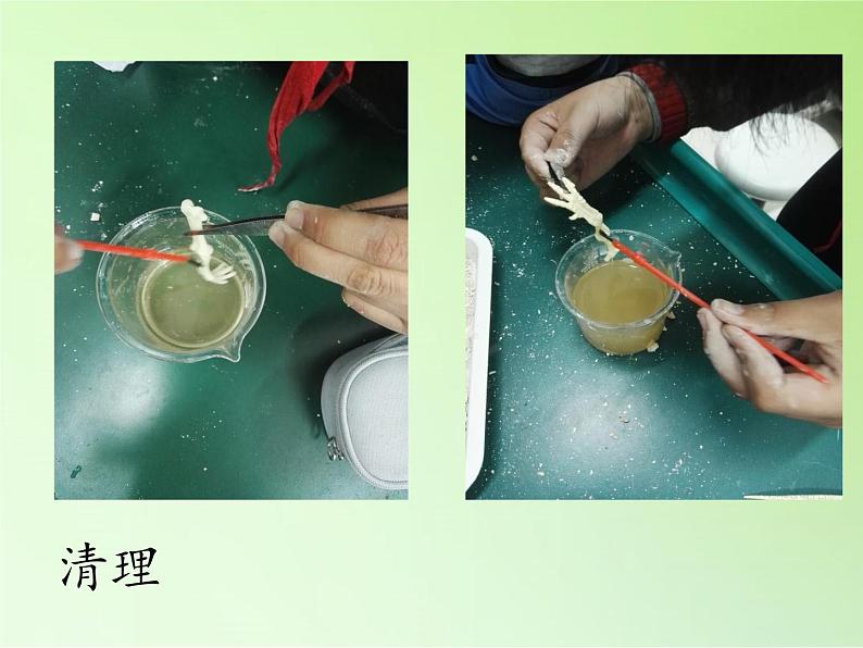 苏教版六年级科学下册 3.1 消失了的恐龙(7)课件07