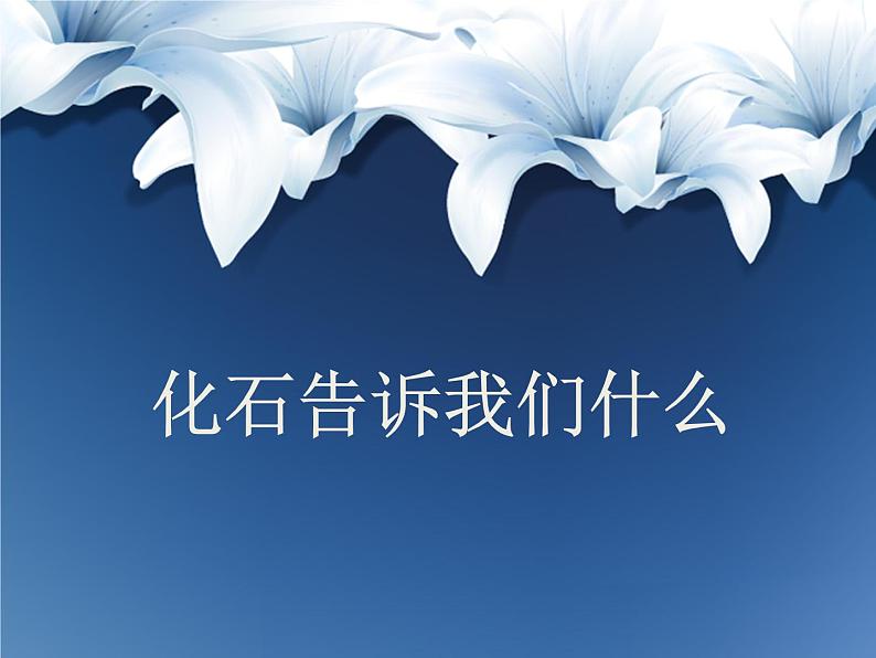 苏教版六年级科学下册 3.2.化石告诉我们什么 (上课用)(1)课件第1页