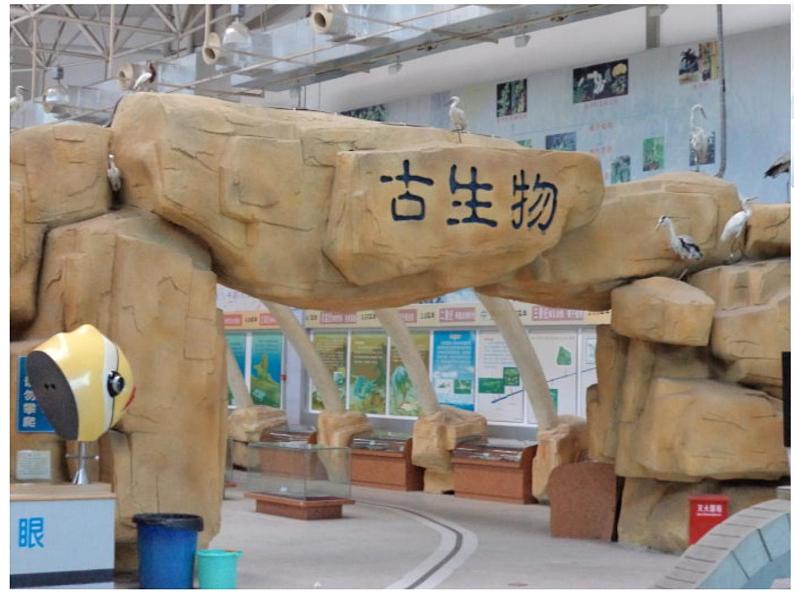 苏教版六年级科学下册 3.2.化石告诉我们什么 (上课用)(1)课件第3页