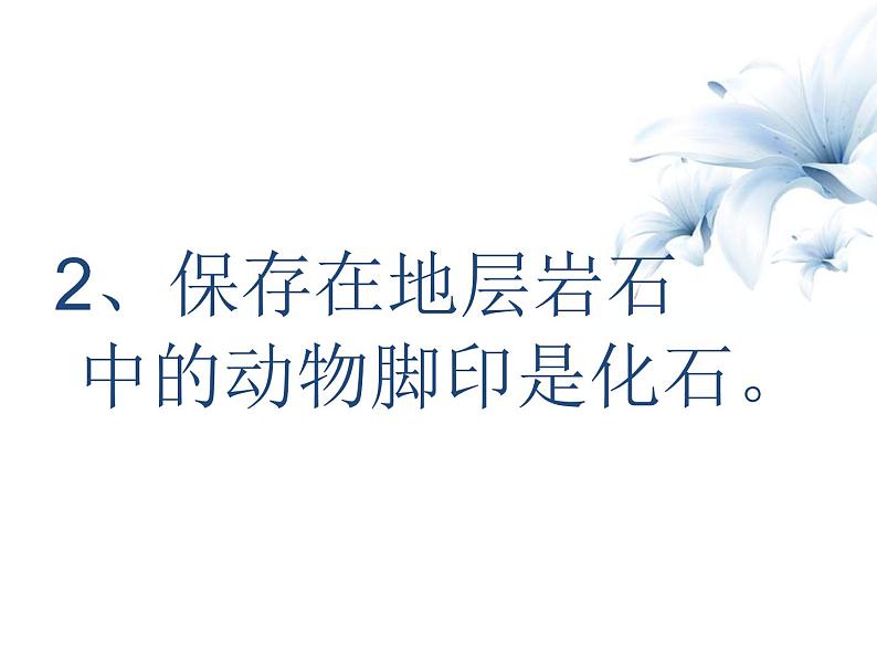 苏教版六年级科学下册 3.2.化石告诉我们什么 (上课用)(1)课件第8页