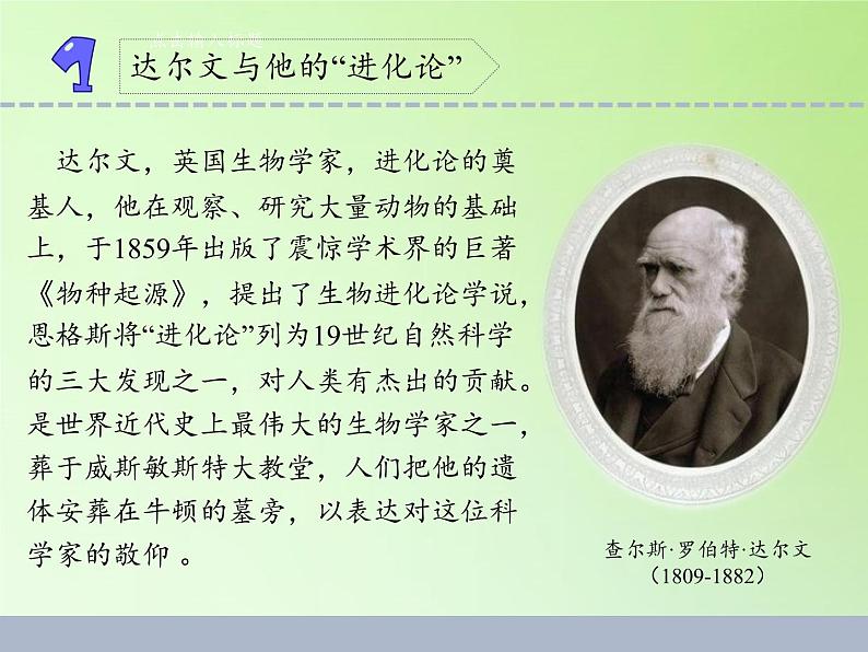 苏教版六年级科学下册 3.3 达尔文与他的“进化论”(17)课件第3页