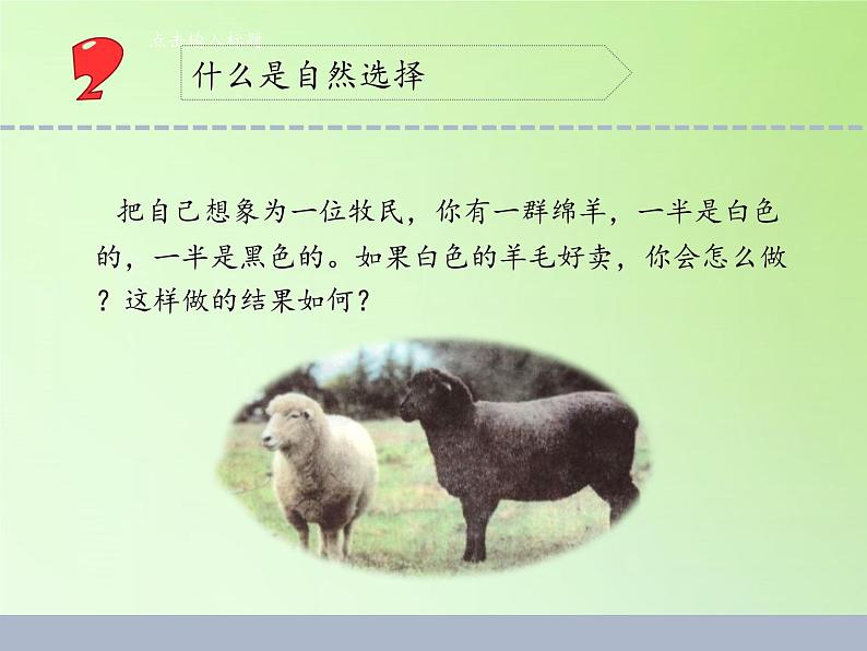苏教版六年级科学下册 3.3 达尔文与他的“进化论”(17)课件第5页