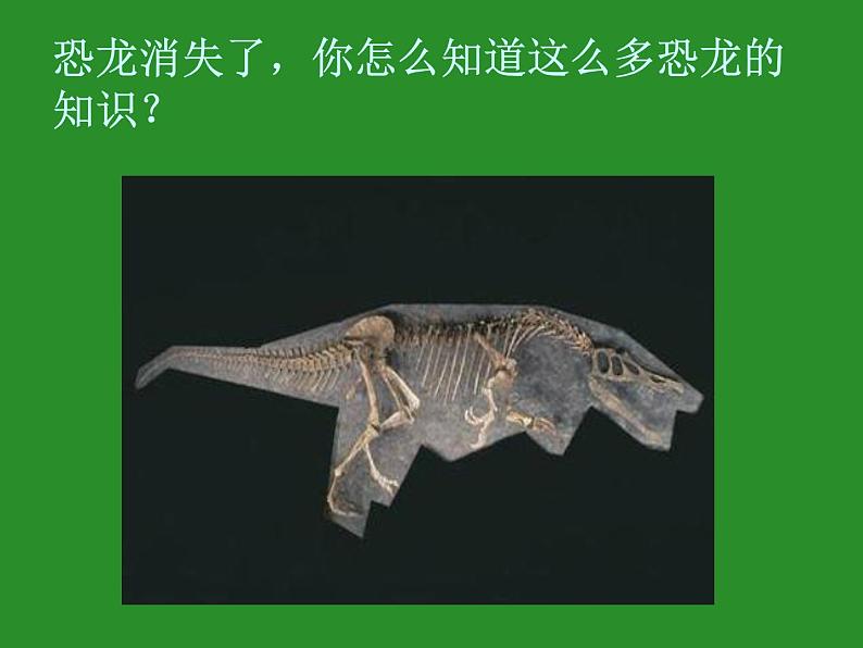 苏教版六年级科学下册 3.1 消失了的恐龙课件第6页