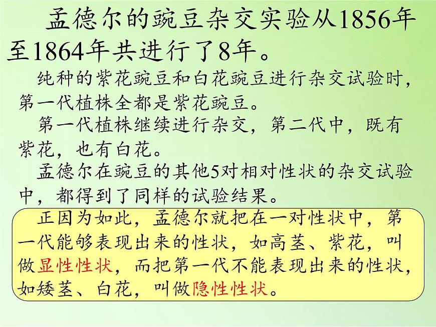 蘇教版六年級科學(xué)下冊2.3 尋找遺傳與變異的秘密(8)課件第2頁
