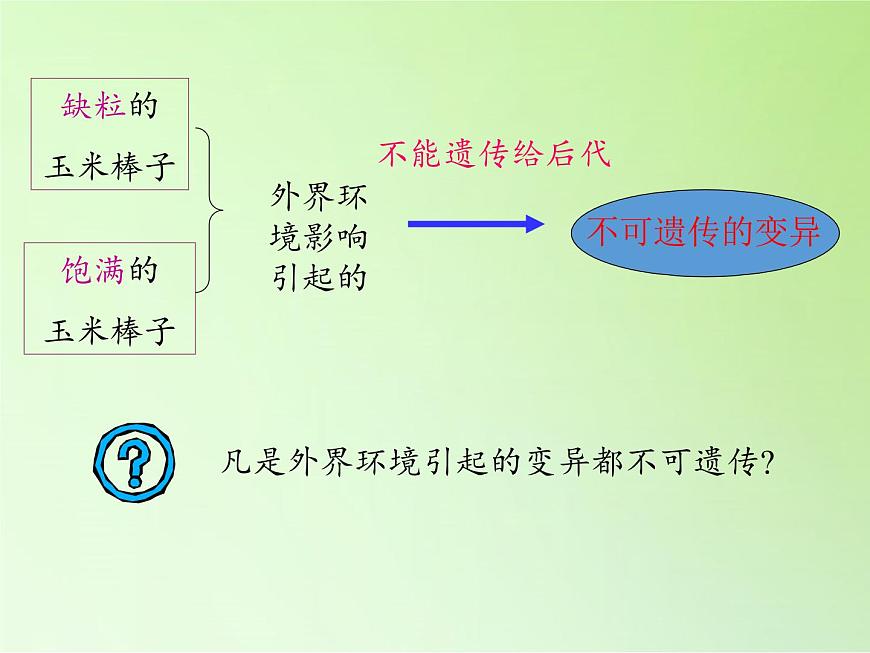 蘇教版六年級科學(xué)下冊2.3 尋找遺傳與變異的秘密(8)課件第4頁