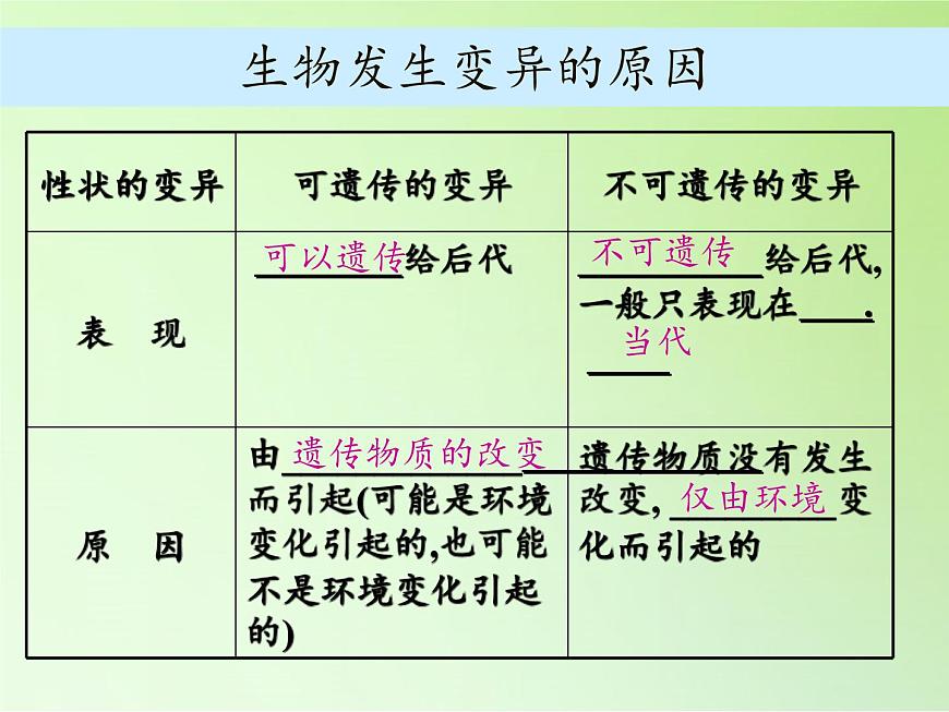 蘇教版六年級科學(xué)下冊2.3 尋找遺傳與變異的秘密(8)課件第6頁