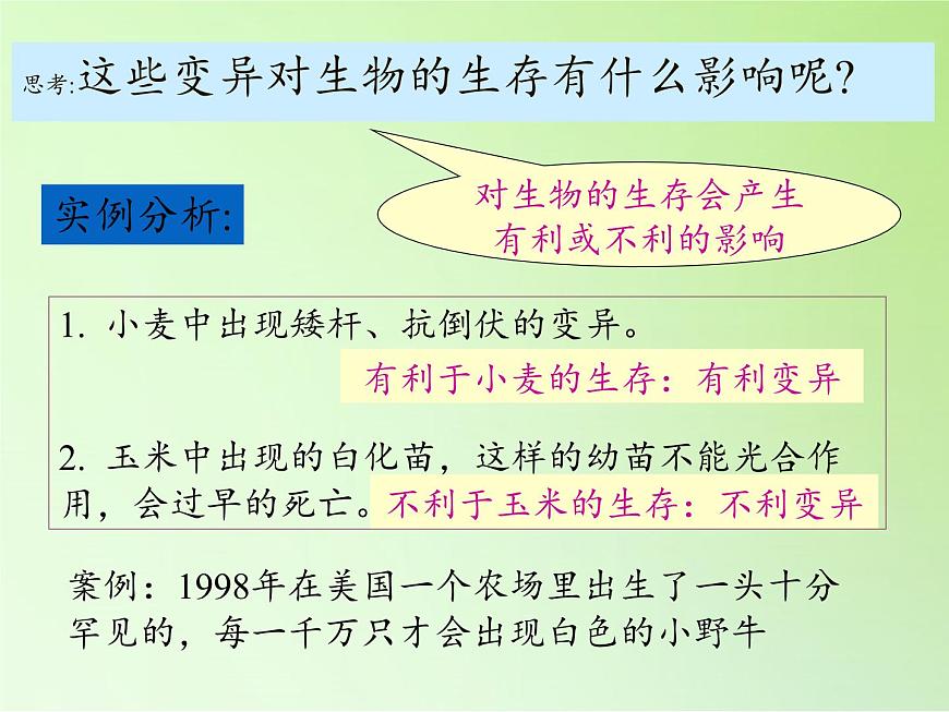 蘇教版六年級科學(xué)下冊2.3 尋找遺傳與變異的秘密(8)課件第7頁