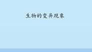 苏教版六年级下册2.生物的变异现象示范课ppt课件