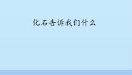 六年级下册2.化石告诉我们什么授课课件ppt