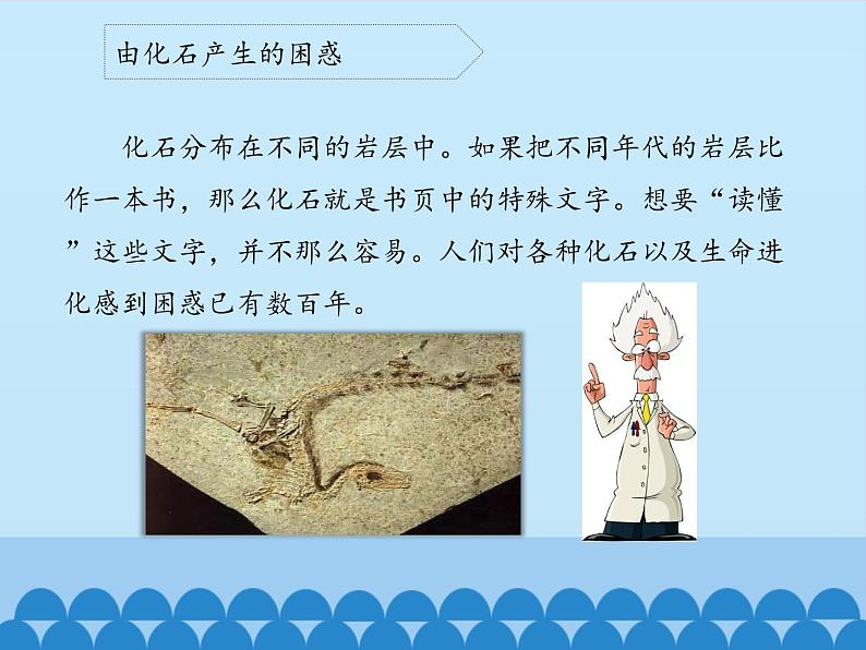 苏教版六年级科学下册3.2 化石告诉我们什么_课件08