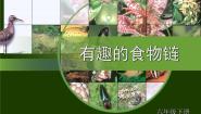 科学苏教版3.有趣的食物链教课课件ppt