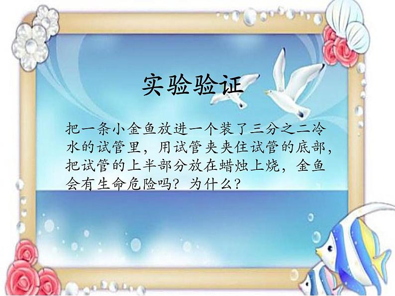 苏教版六年级科学下册 6.1. 拓展课件第3页