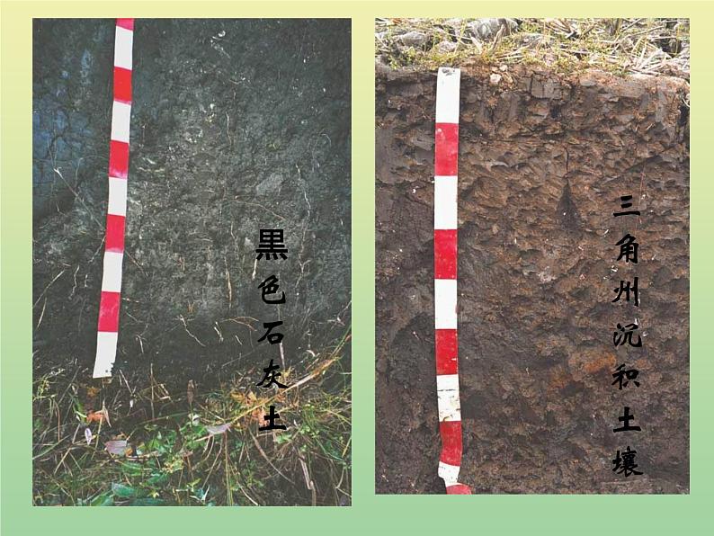 苏教版小学科学三年级下册《1.1.我们周围的土壤》PPT课件(5)04