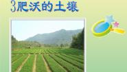小学3.肥沃的土壤教课内容ppt课件