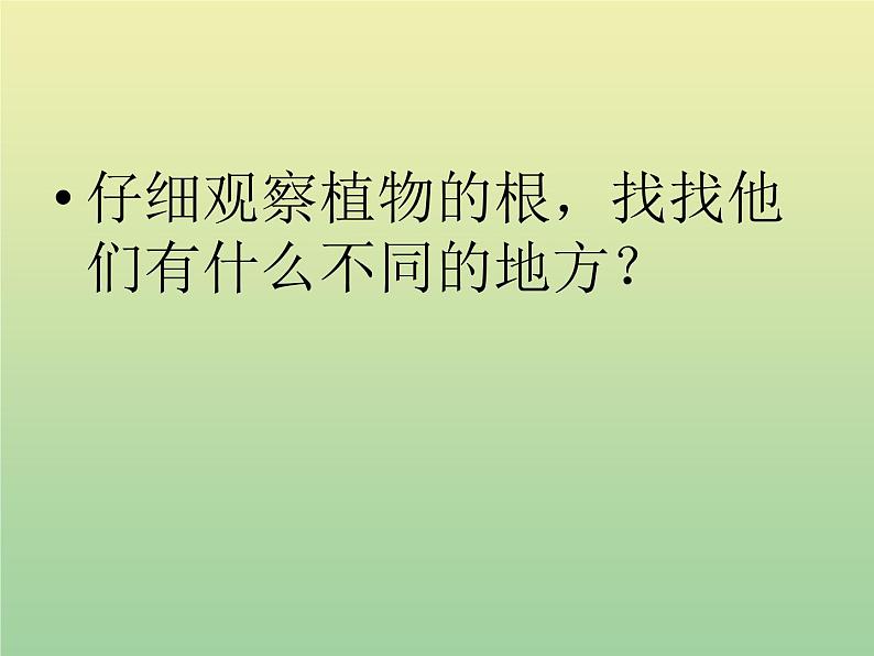苏教版小学科学三年级下册《2.2.根和茎》PPT课件(4)02