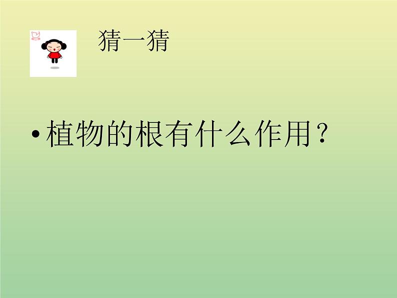 苏教版小学科学三年级下册《2.2.根和茎》PPT课件(4)05