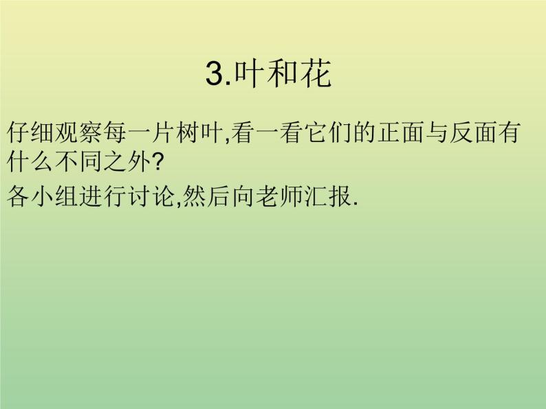 苏教版小学科学三年级下册《2.3．叶和花》PPT课件(6)01