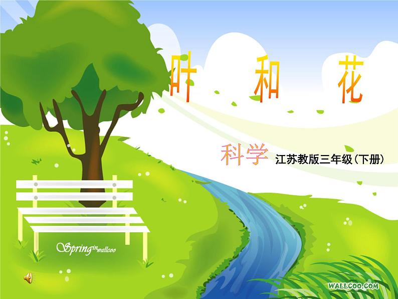 苏教版小学科学三年级下册《2.3.叶和花》PPT课件(8)第1页