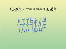 小学科学苏教版三年级下册1.今天天气怎么样教课内容课件ppt