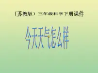 小学科学苏教版三年级下册1.今天天气怎么样教课内容课件ppt